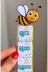 פרליני שוקולד בד"צ